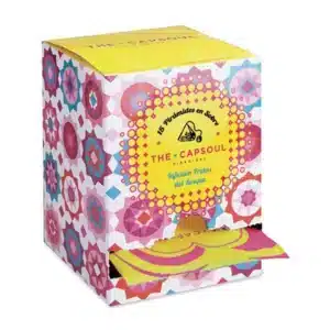 Pirámides de Infusión Frutas del Bosque – Dulzura natural en cada pausa